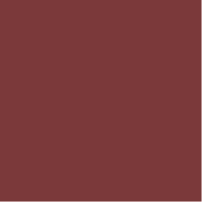 Rockfon Color-all A Vlak Inleg (71) Scarlet A24 1200x600x25 mm