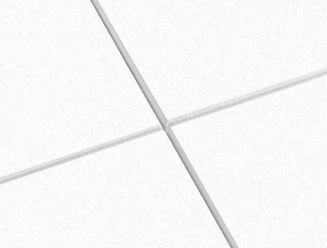 Ecophon Focus F White Frost 600x600x20mm