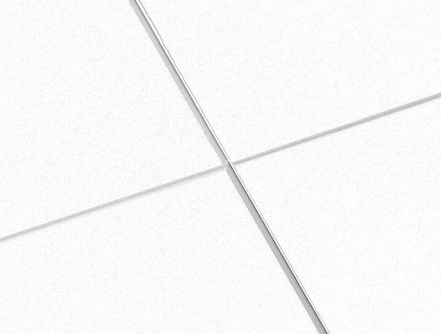 Ecophon Focus B White Frost 600x600x20mm