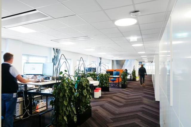 Ecophon Focus A T24 XL NE White Frost 2400x600x20mm