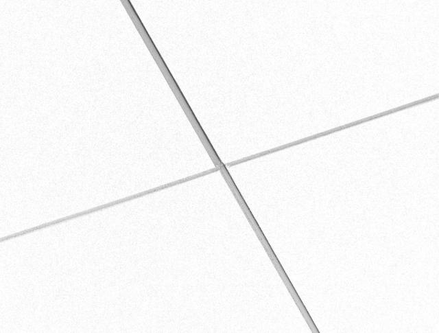 Ecophon Master F White Frost 600x600x40mm