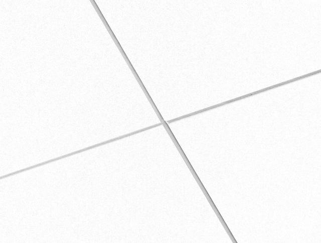 Ecophon Master B White Frost 600x600x40mm