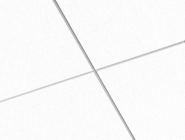Ecophon Master Ds White Frost 600x600x40mm