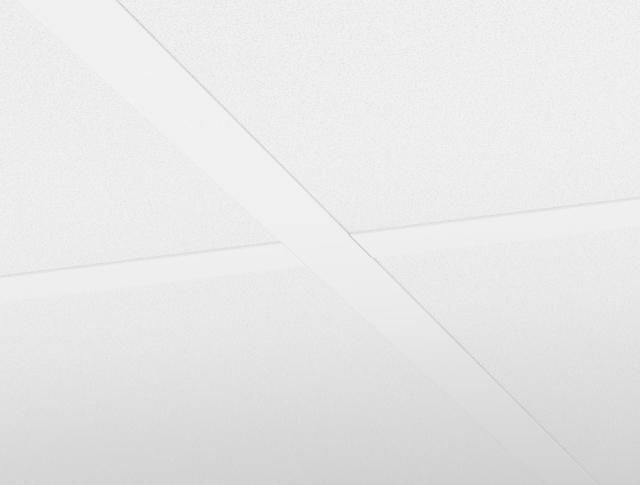 Ecophon Hygiene Performance Plus A T24 wit 500 1200x600x40mm