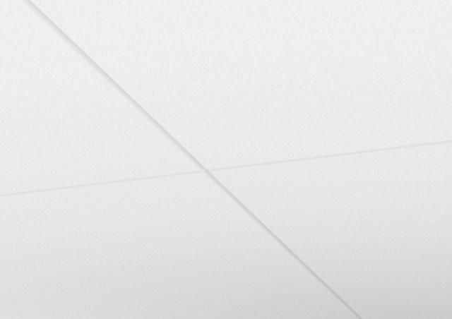 Ecophon Focus Fixiform Ds/E White Frost 1200x600x20mm doos 10 st