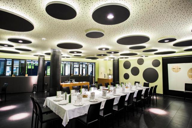 Ecophon Solo Circle White Frost 1200x40mm