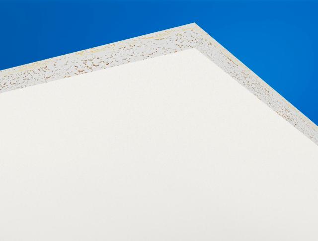 Ecophon Master Rigid A T24/gamma White Frost 600x600x20 mm