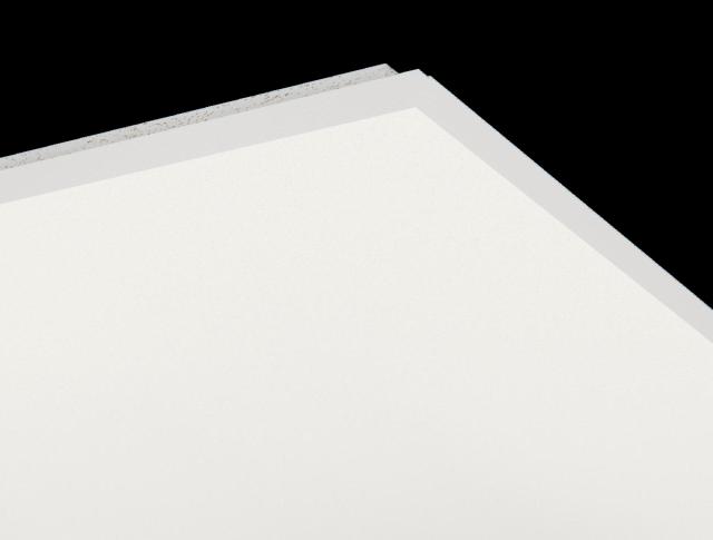 Ecophon Master Rigid Dp/gamma White Frost 1200x600x20 mm