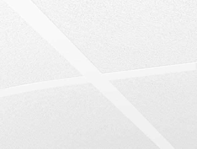Ecophon Focus Flexiform A White Frost 2000x600mm