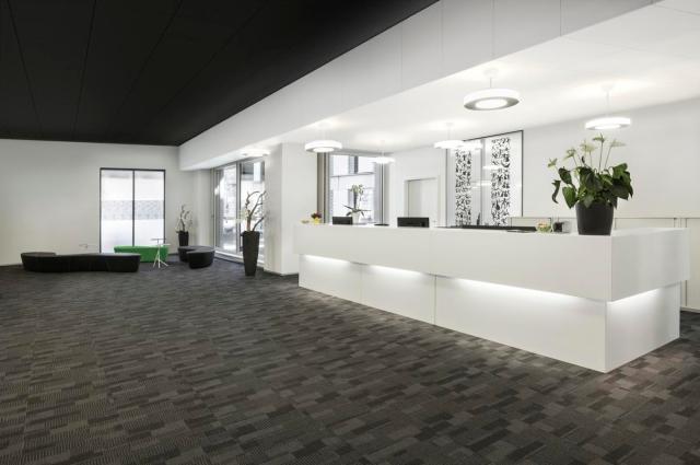 Ecophon Focus Ds Dark Diamond 1200x600x20mm