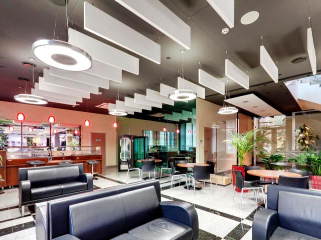 Ecophon Solo Baffle/anchor White Frost 1800x600mm