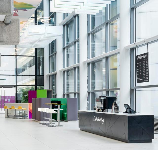 Ecophon Solo Baffle/anchor White Frost 1800x600mm