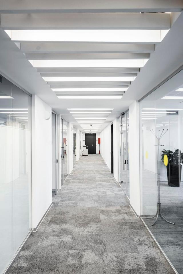 Ecophon Solo Baffle/anchor White Frost 1800x600mm