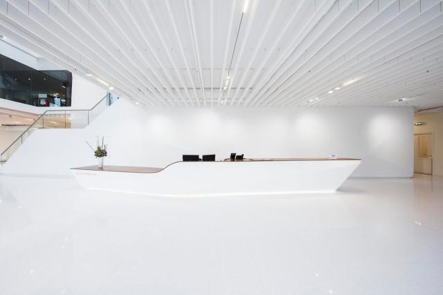 Ecophon Solo Baffle/anchor White Frost 1800x600mm