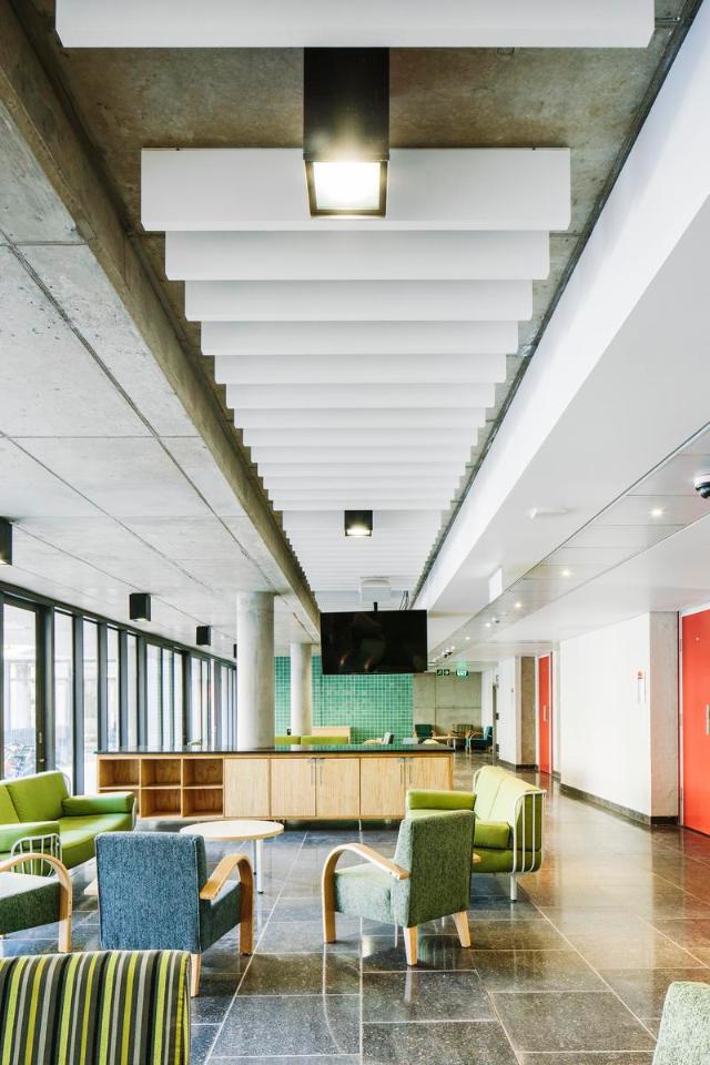 Ecophon Solo Baffle/anchor White Frost 1800x600mm