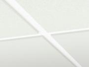 DETAIL40731