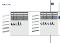 CMC Versterkt L-randafwerkingsprofiel 50x25 mm wit 001 L= 3050 mm