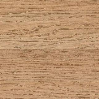 Proface -CORNEX A aluminium classic oak L= 3000mm - C128-APU02-300