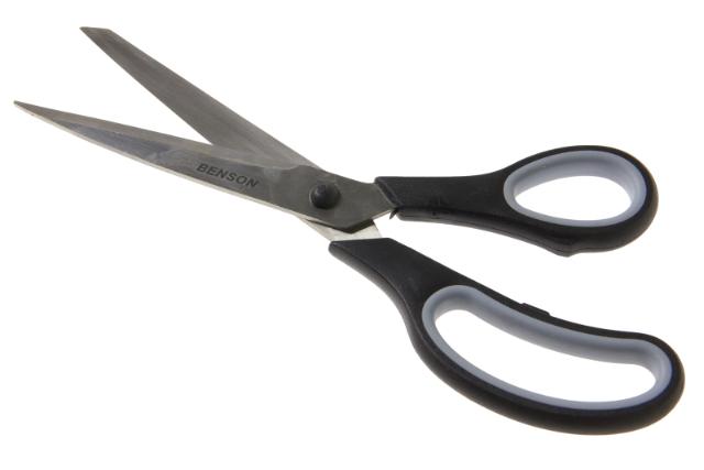 Schaar RVS 250 mm Groot
