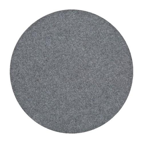 Filzschijf 395 mm tbv EPG 400